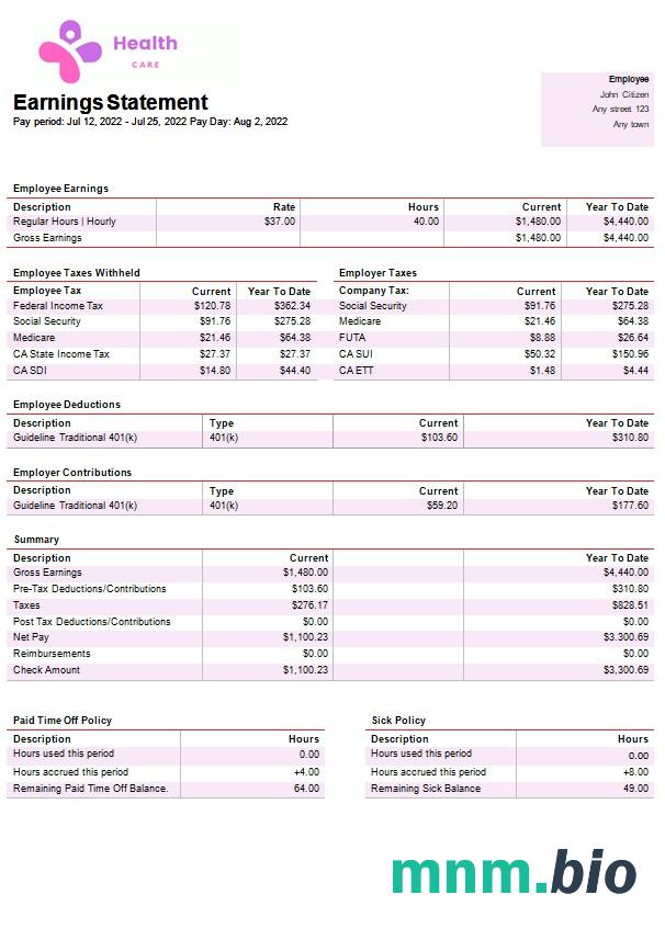 szablon paystub firmy świadczącej usługi zdrowotne w formatach Word i PDF